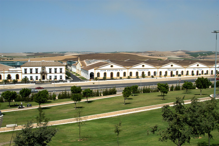 Valdespino
