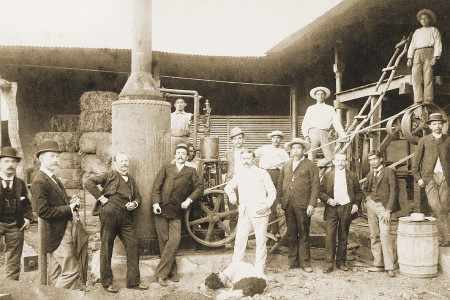 Flor de Caña